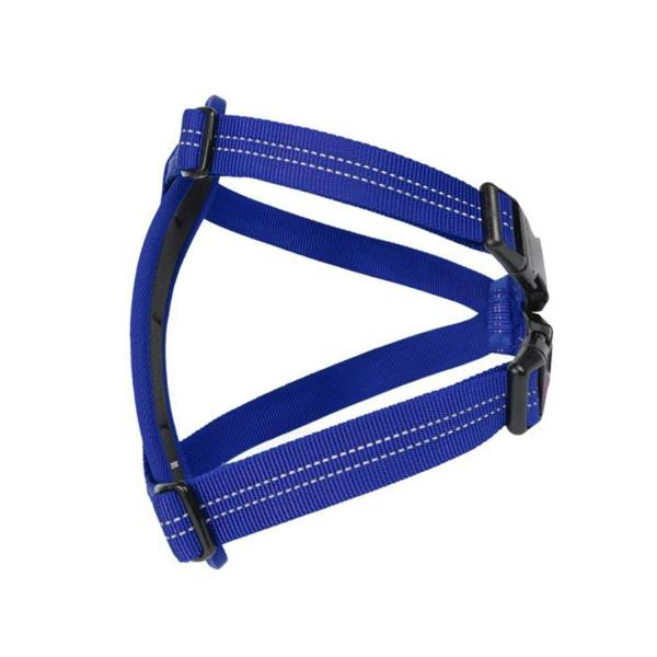 EzyDog Essential Chest Plate Dog Harness in Blue
