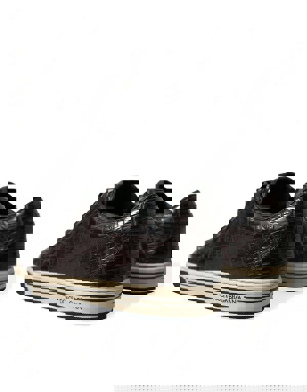 155655000.jpg