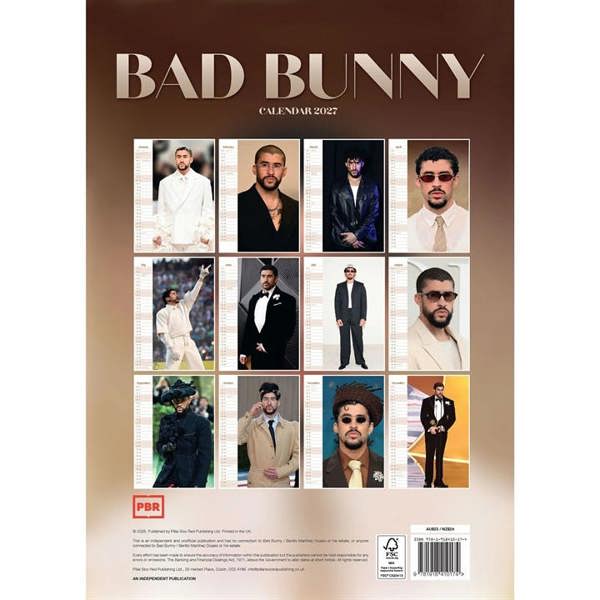 Bad Bunny A3 Calendar 2027, Wall Calendars, Month To View, Entertainment, Gift