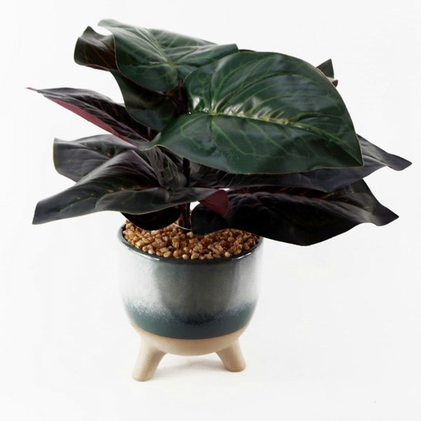 Leaf 35cm Artificial Ficus Plant with Teal Blue Green Ceramic Planter