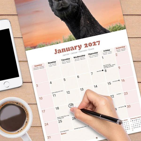Alpacas Calendar 2027, Wall Calendars, Month To View, Animals, Gift