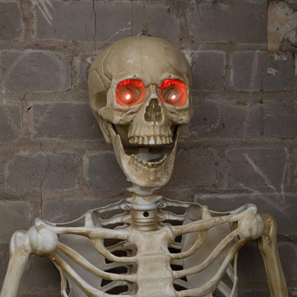 Samuel Alexander 5ft (1.5m) Battery Powered Light up Halloween Skeleton with Poseable Joints & Red LEDs