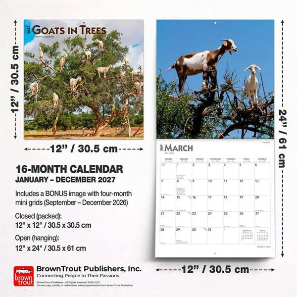 Goats In Trees Calendar 2027, Wall Calendars, Month To View, Animals, Gift