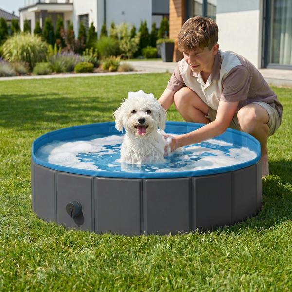 Pet Swimming Pool