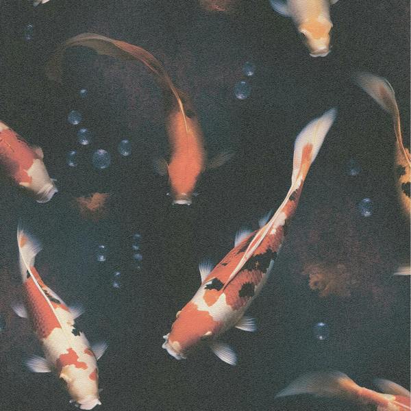 Erismann Midnight Pond - black