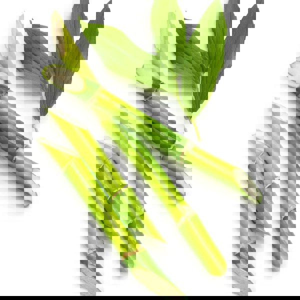 L'Anza Healing Volume Root Effects Hair Styling Mousse 200ml