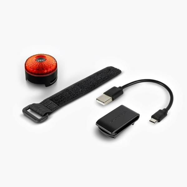 EzyDog Go-2 Dog Light