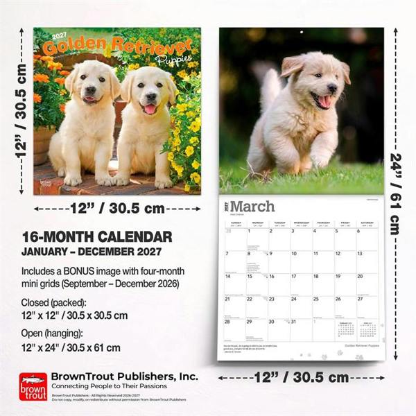 Golden Retriever Puppies Calendar 2027, Wall Calendars, Month To View, Dogs, Gift
