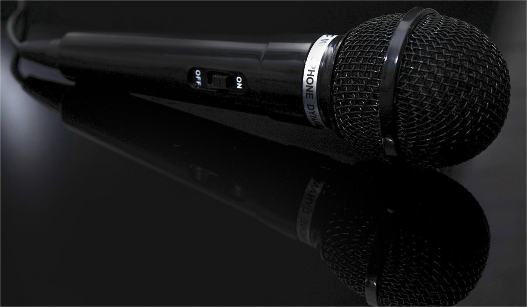 Mr Entertainer Black Plastic Microphone 3.5mm