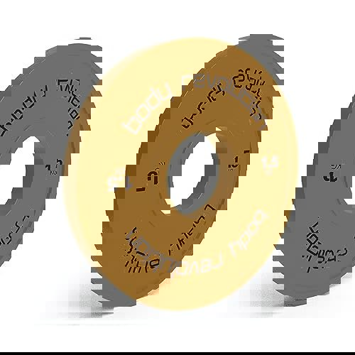 Body Revolution Fractional Bumper Plates