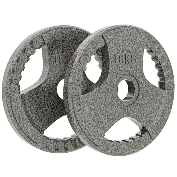 Pair of cast iron weight plates, speckled gray, with center holes for bars