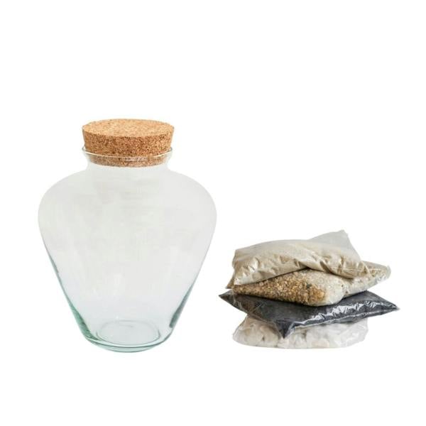 Ivyline Teardrop Glass Lid Terrarium