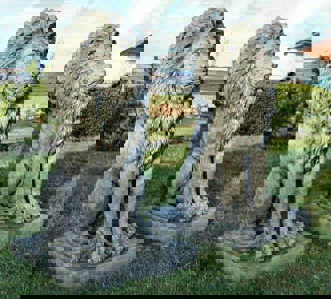 Pair of stunning large sitting lion statues