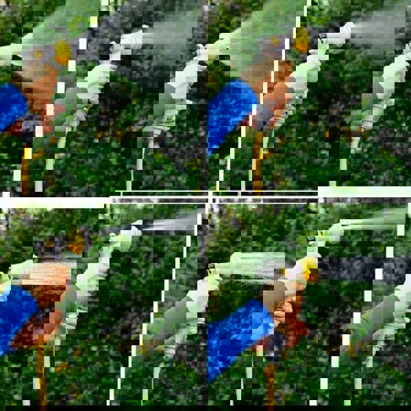 Leaper Mini Simple Garden Handheld Hose Cart