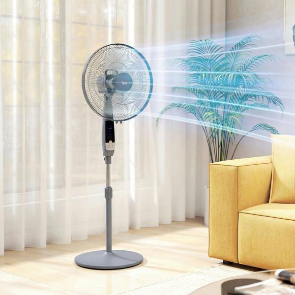 Floor Fan