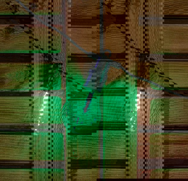 Samuel Alexander Set of 20 Indoor Outdoor Connectable Festoon Lights with Multi-Coloured LEDs