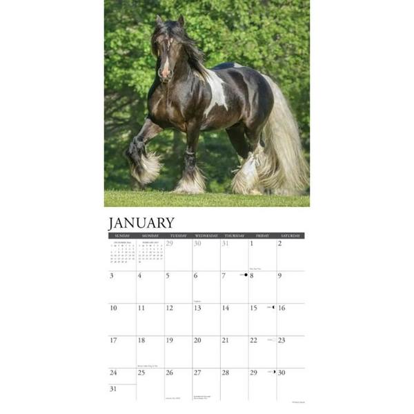 Gypsy Vanner Horse Calendar 2027, Wall Calendars, Month To View, Animals, Gift