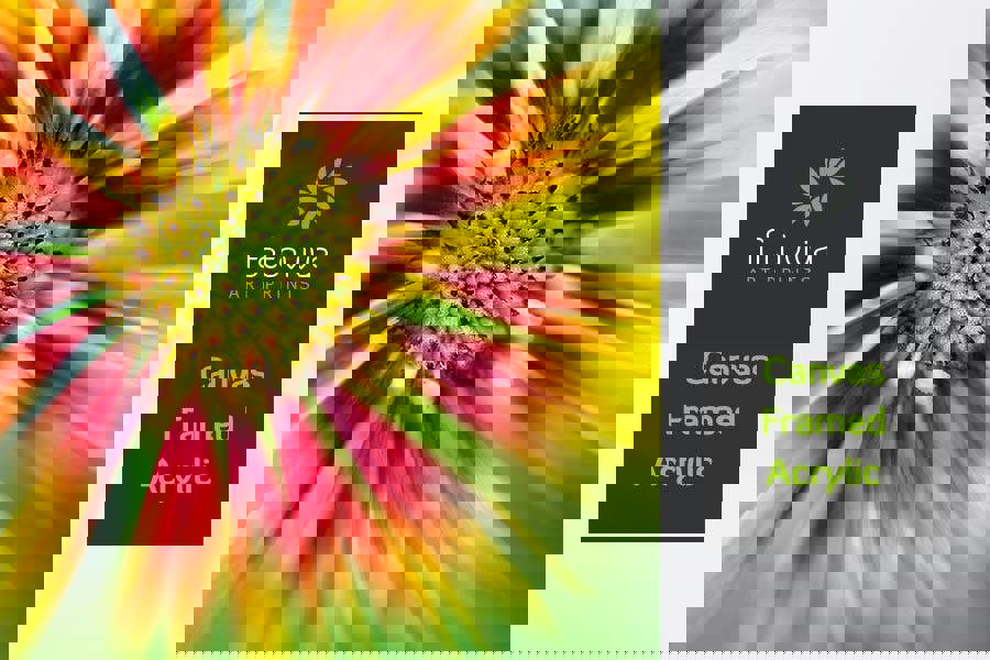 colourful Gaillardia flower printed on canvas