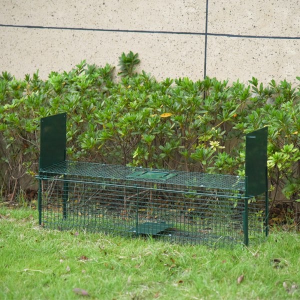 Animal Trap
