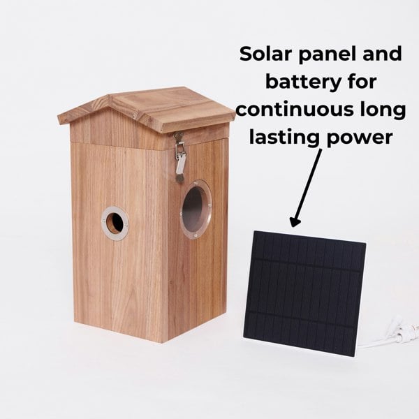 Callow Retail Walnut smart bird house and Camera with Solar Panel