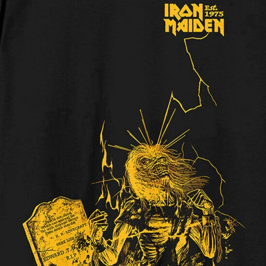 Iron Maiden Est 1975 Life After Death Lightning T Shirt