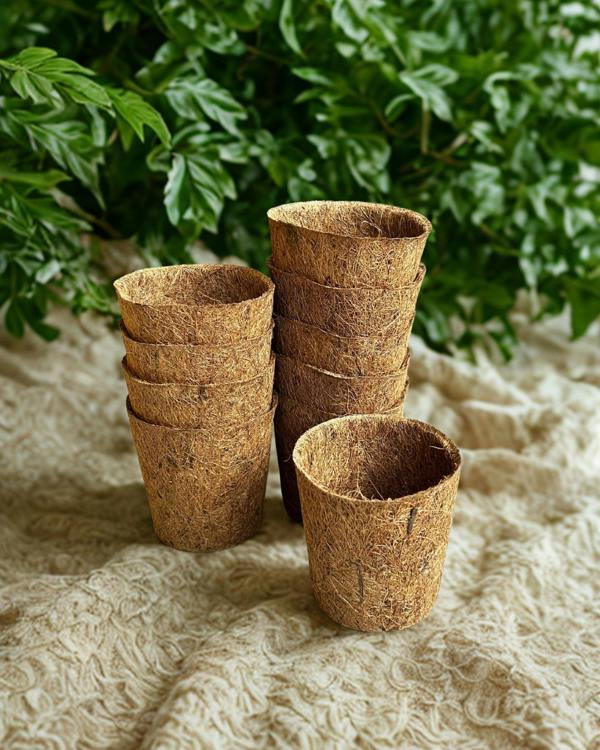 CoirProducts Coir Pots | Biodegradable Coir Plant Pots for Seedlings & Transplants