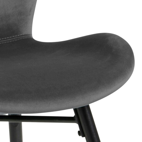 Wyld Haus Set of 2 Acorn Dark Grey Upholstered Dining Chairs