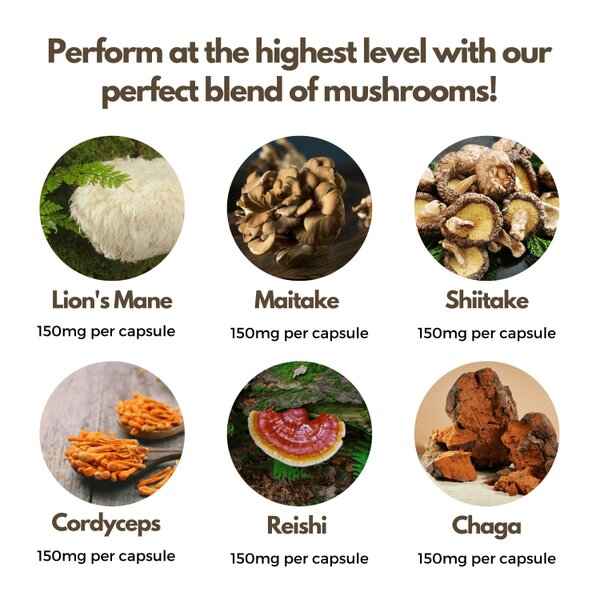 nutripact Multi Mushroom Complex Capsules