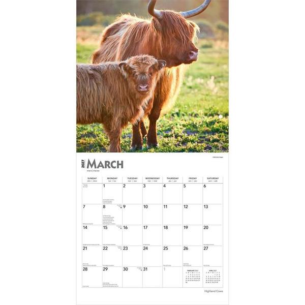Highland Cows Calendar 2027, Wall Calendars, Month To View, Animals, Gift
