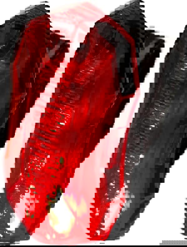 Awe Super Bright 5 x Red SMD LEDs Battery Rear Bike Light