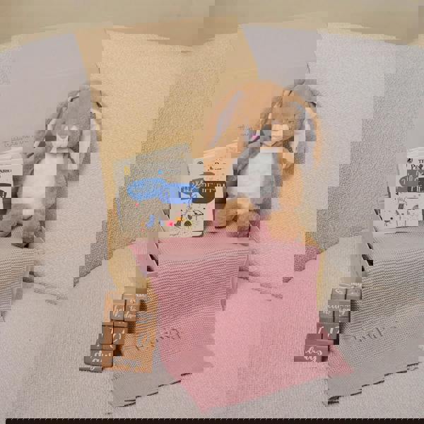 The Baby Gifting Company HOP & LEARN GIFT SET