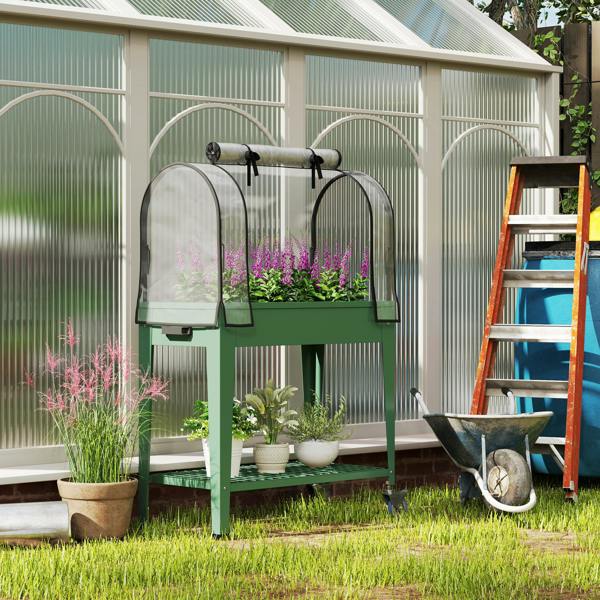 Raised Planter