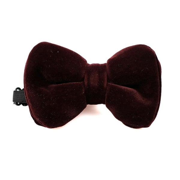David WeJ Velvet Pretied Bow Tie - Plum