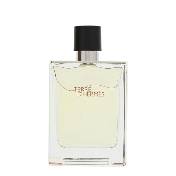 Hermes Hermès Terre D'hermès Eau de Toilette 100ml for Him