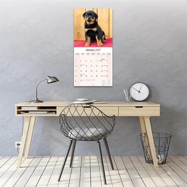 Rottweiler Puppies Calendar 2027, Wall Calendars, Month To View, Dogs, Gift