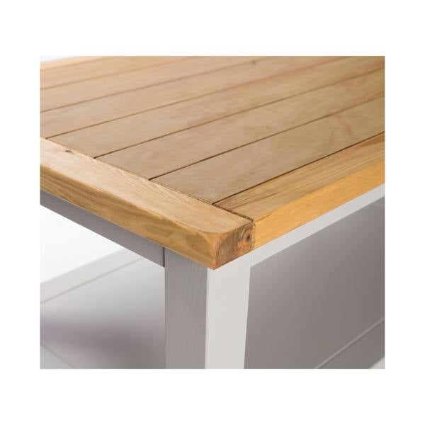 Cabinet Bits Coffee Table with Shelf - H45 W100 D60cm