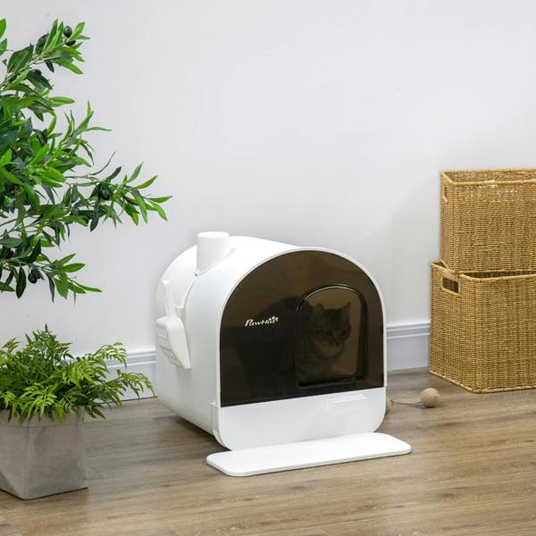 Cat Litter Box
