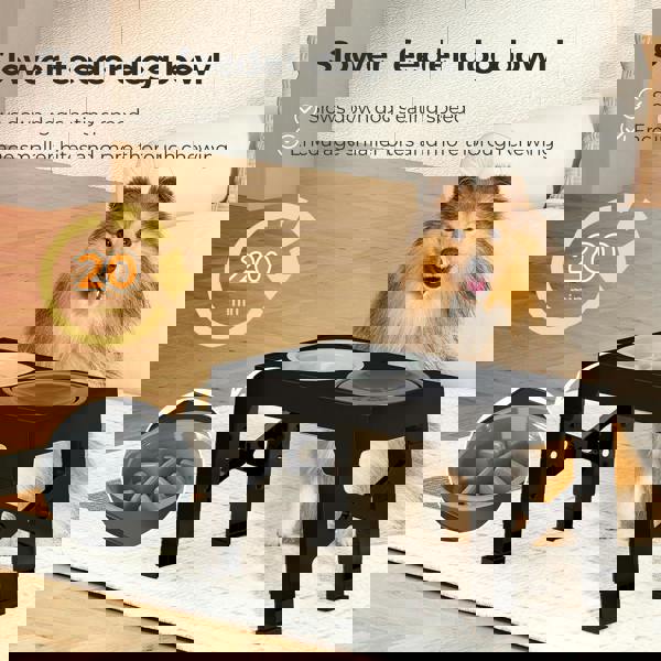 Skylos Elevated Pet Feeder Raised Dog Food Water Feeding Bowl Adjustable Folding