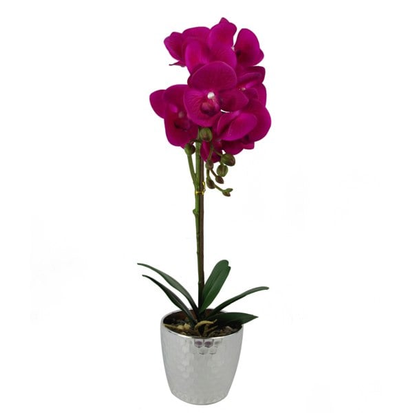 Leaf 50cm Phalaenopsis Orchid Artificial - Dark Pink Silver