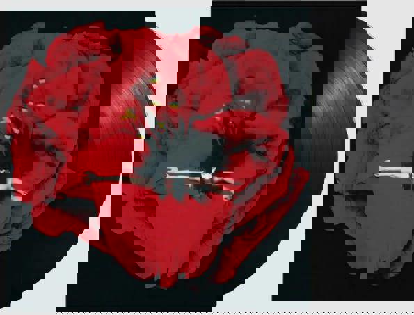 Smashing Pumpkins 'Adore' 2LP Gatefold Black Vinyl