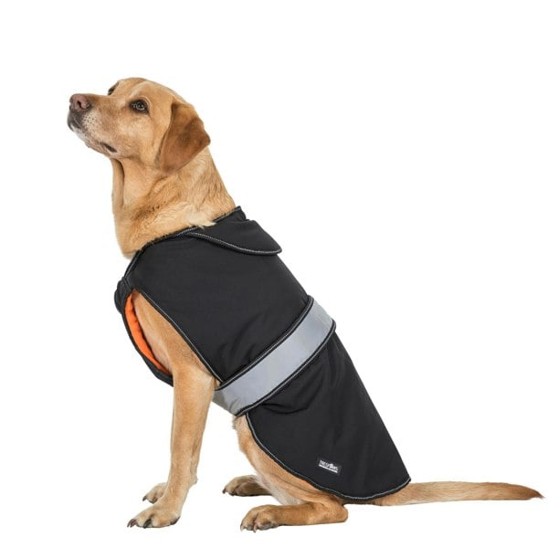 Trespass Butch Touch Fastening Softshell Dog Jacket - Black