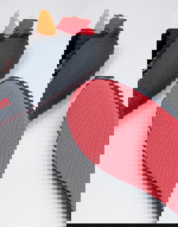 Wallace And Gromit Unisex Grey Feathers Mule Slippers