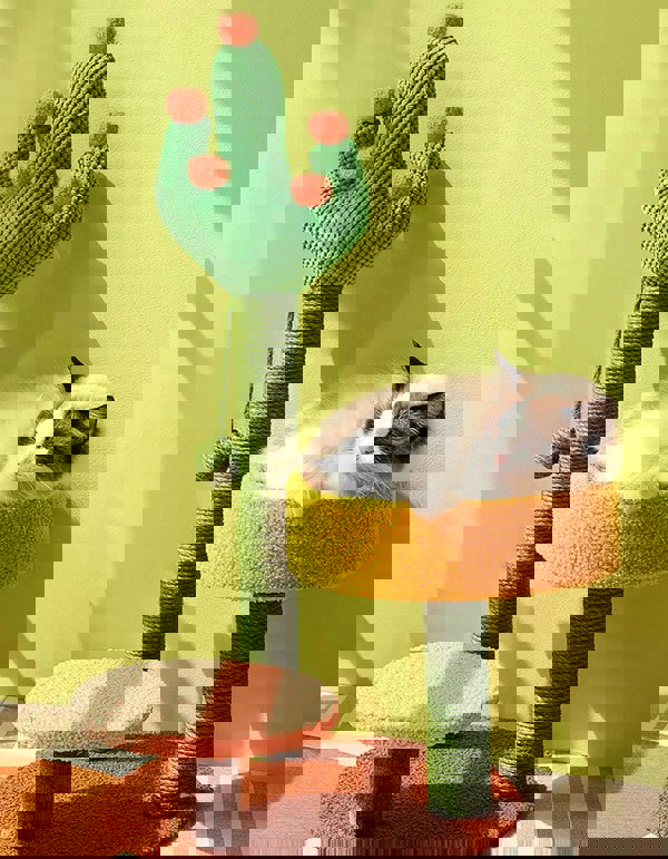 Ola's Cactus with Bed, Cat Toy, Climbing tree-Weilai concept-Weilai Concept