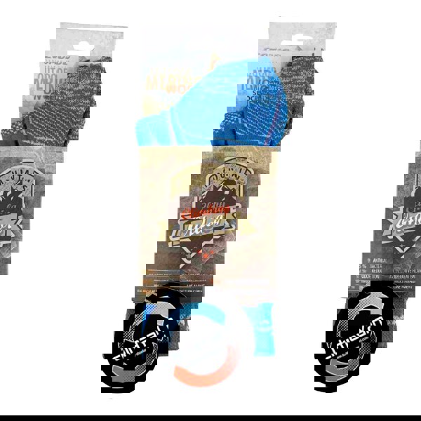 t4option1_1