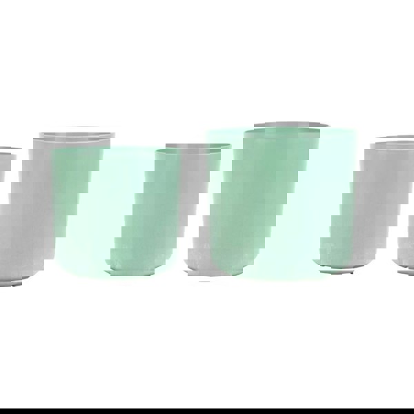 #color_thyme