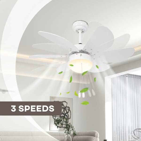 Ceiling Fan With Light