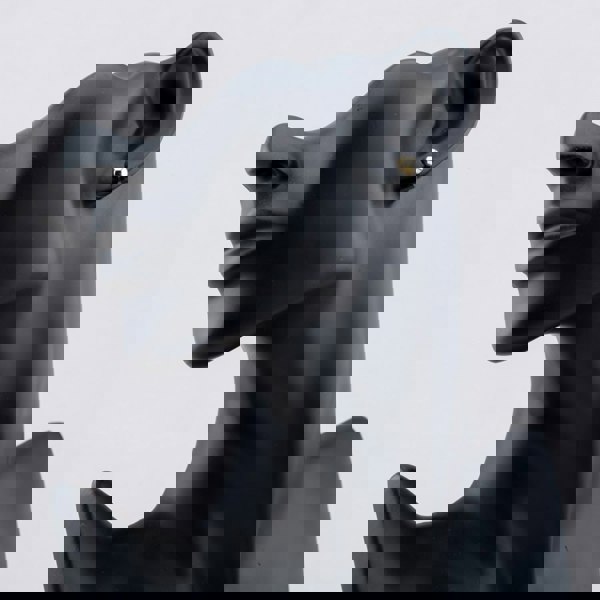 T. H. Baker Silver Gold Plated 6mm Ball Stud Earrings S4007