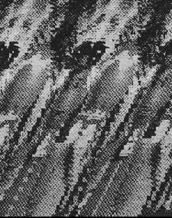 Strange Hill High Boys Grey Character Short Sleeved T-Shirt