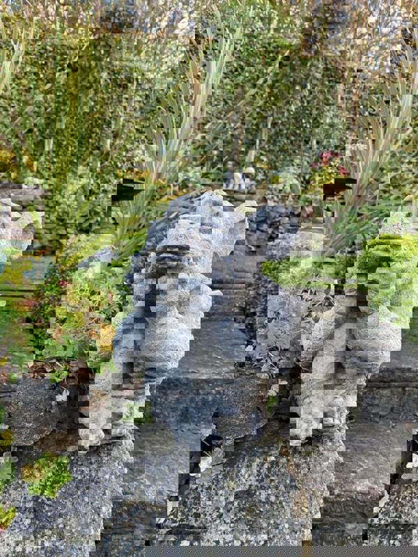 Sad Dragon Mythical Garden Ornament