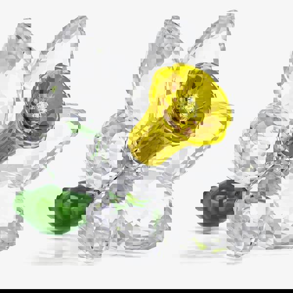 Swarovski Florere Daffodil Figurine 5721540